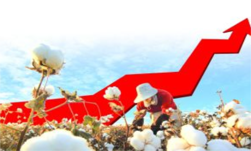 棉花期貨價(jià)格變化和哪些因素有關(guān)？