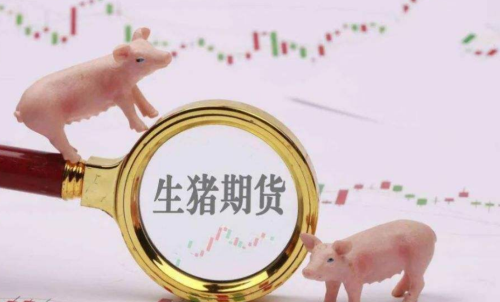 生豬期貨未來(lái)走勢(shì)將會(huì)如何？生豬期